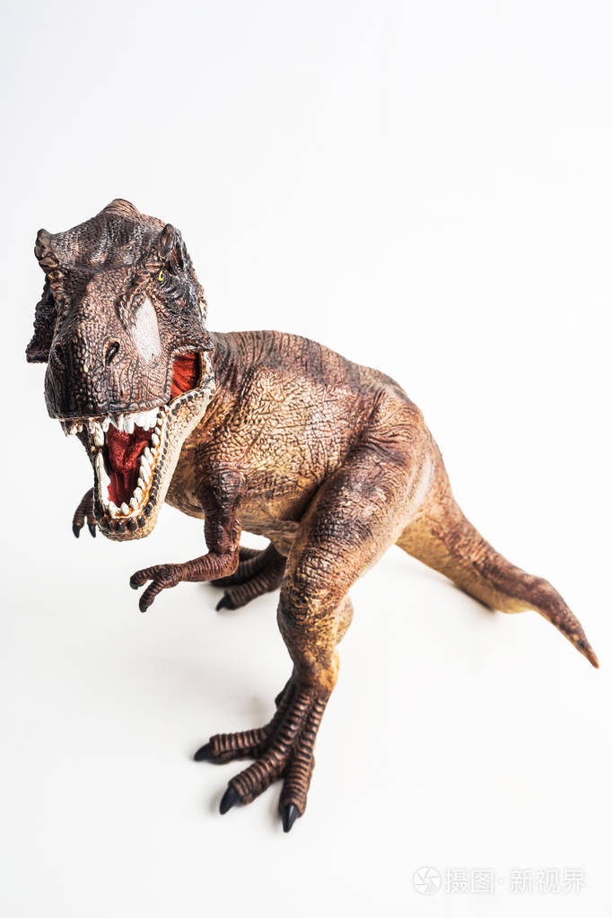 恐龙, 霸王龙, 白色背景暴龙照片-正版商用图片09x1j5-摄图新视界