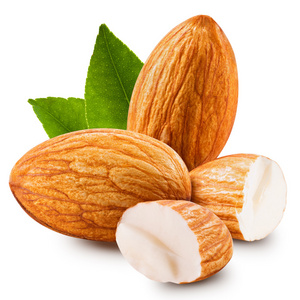 集团的杏仁杏仁照片