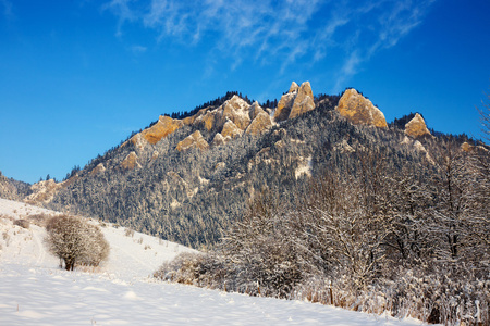 在 Pieniny 山，三个皇冠，波兰冬季景观