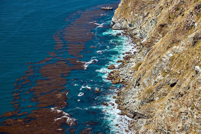 在加利福尼亚州, 美国的太平洋海岸景观的风景