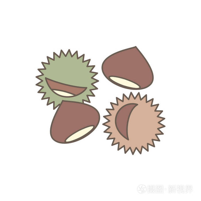 在白色背景下孤立的可爱的矢量栗子