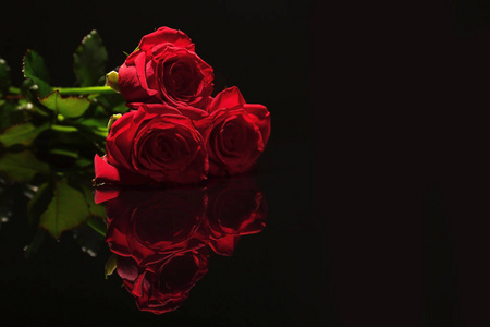 美丽的红色玫瑰在黑色背景.葬礼标志照片