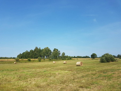 领域的农村风景