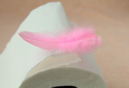 白色卷的卫生纸和粉红色的羽毛图片
