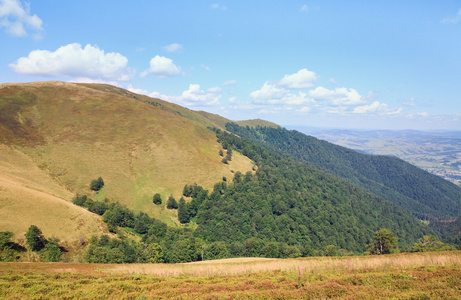 夏季多雾山风景