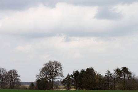 在德国德国的风沙的一个树区上空的云拍摄在德国莱斯兰州的一次观光旅游中