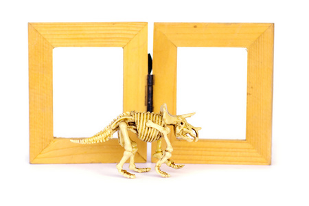 恐龙骨架模型在木框架上白色孤立股票