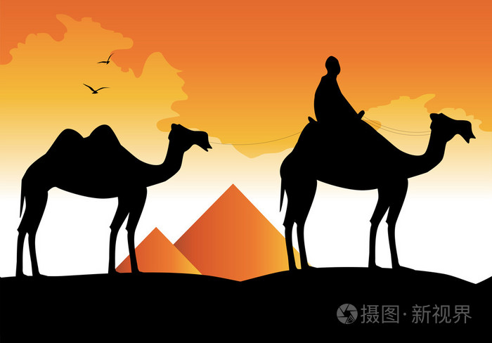 骆驼和金字塔的剪影插画-正版商用图片09xq4u-摄图新视界