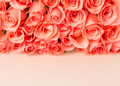 橘红色玫瑰花语花束复古背景