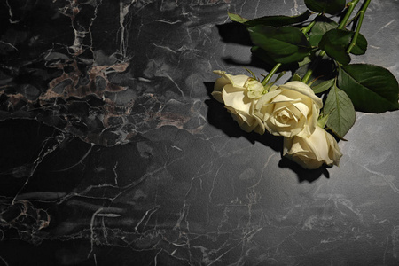 美丽的白色玫瑰灰色背景, 顶部视图。葬礼标志