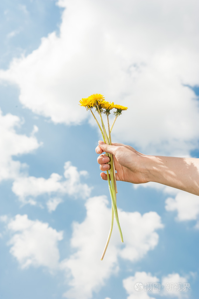 女人手捧着黄色鲜花在蓝蓝的天空