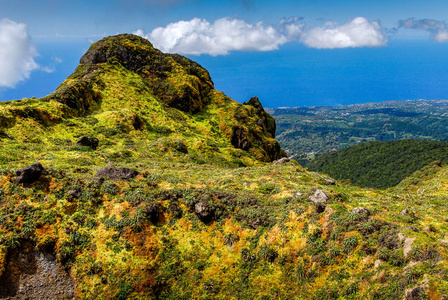在法国西印度群岛的瓜德罗普岛岛上的 La 苏弗里耶尔山顶上多彩多姿的植被