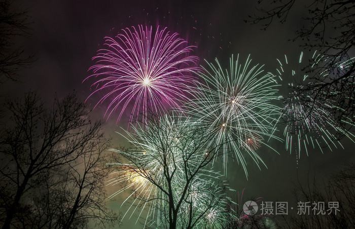 在树的上方天空中的烟花