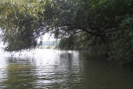 乌克兰哈尔科夫地区 pechenezhskiy 储水池