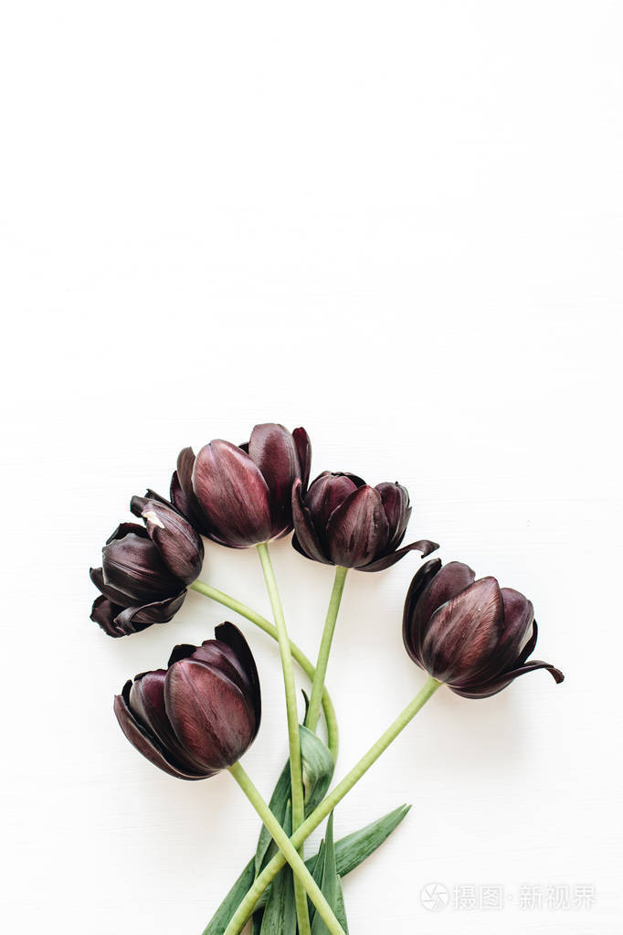 白色背景的黑色郁金香花花束平躺.顶部视图