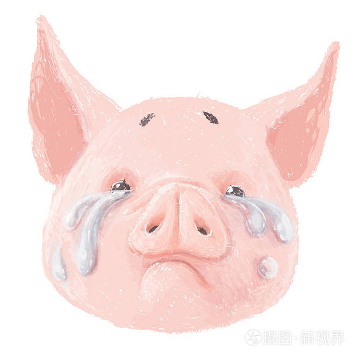 一头悲伤的猪在图片图片