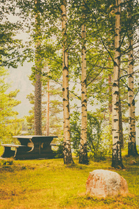 野餐网站木制桌子和长板凳在挪威的森林公园，欧洲