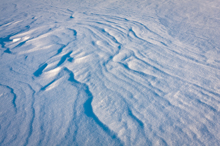 草地上的雪纹理