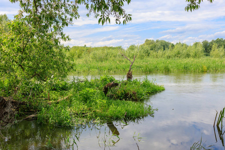 在阳光明媚的夏日, 绿草群岛的水面上笼罩着蓝天白云。河风景