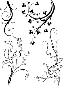 图贾分支关闭组 4 装饰花卉分支照片