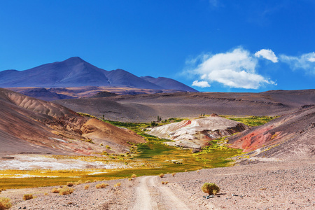 在阿根廷北部的风景