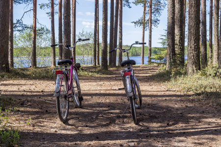 夏天自行车旅行在森林里