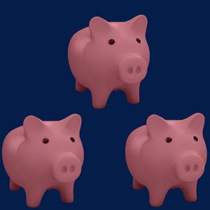 模式与粉红猪银行