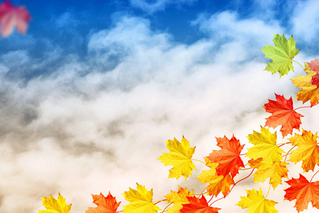 秋季景观与明亮多彩树叶。印度夏季