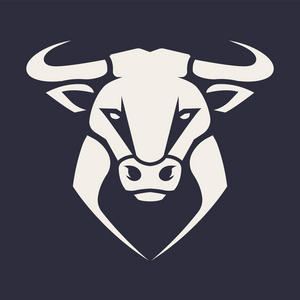 公牛正面对称的形象看起来很危险.矢量单色图标照片