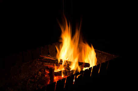 在黑暗中, 烤架上的烤肉串和火焰