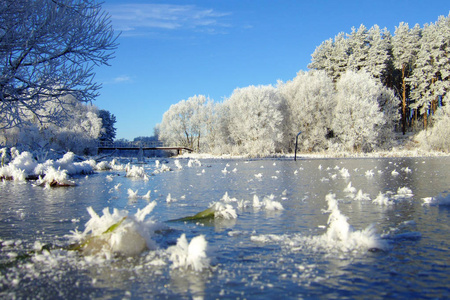 美丽的冬季景观与森林和树木。冬天的早晨, 一个新的一天与大量的雪