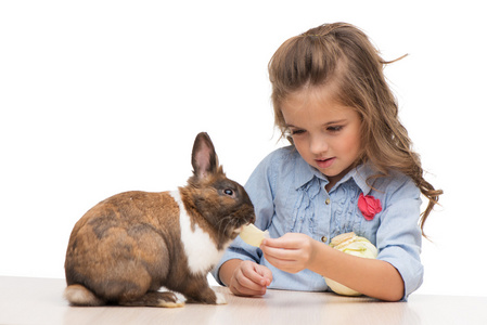 可爱的小女孩用白菜喂兔子