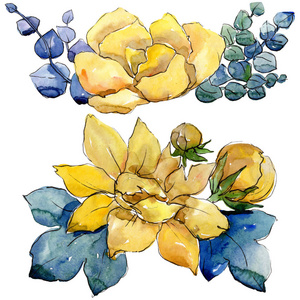 水彩黄色花束花。花卉植物花。孤立的插图元素