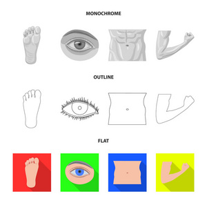 人体和零件图标的矢量插图。人与女股票矢量图的收集