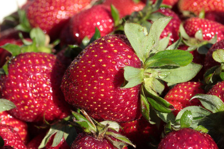 成熟, 新鲜有机草莓