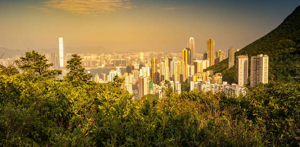 从太平山顶香港天际线景观图片