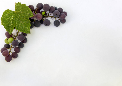 新鲜成熟甜葡萄藤分离白色背景。复制空间。高级视图, 高分辨率