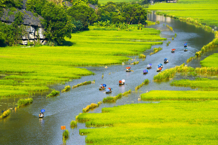 旅游观光船旅游观光看到稻田在河 非政府组织董 在 Tamcoc, 瑟纳姆, 越南