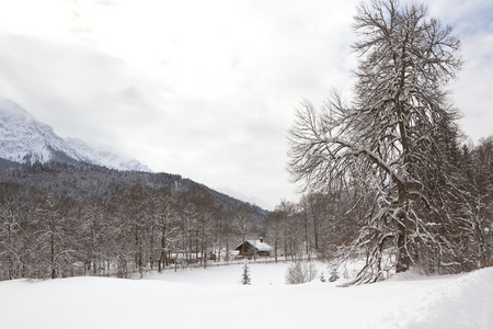 高山村庄在雪冬