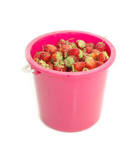 桶里的白色的草莓