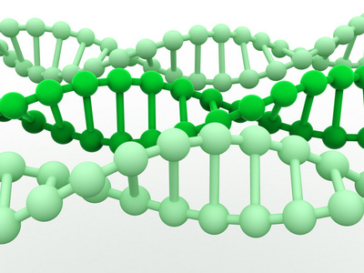 基因在 dna 中