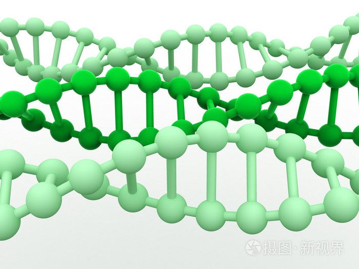 基因在 dna 中