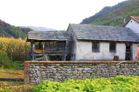 山村庄住宅图片