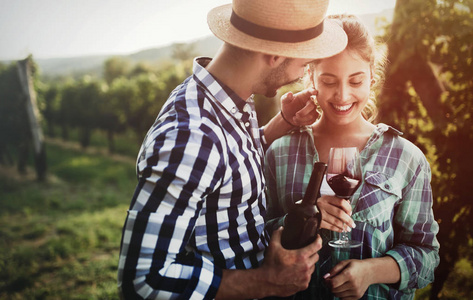 夫妇在酿酒葡萄园工作和品尝葡萄酒的爱情