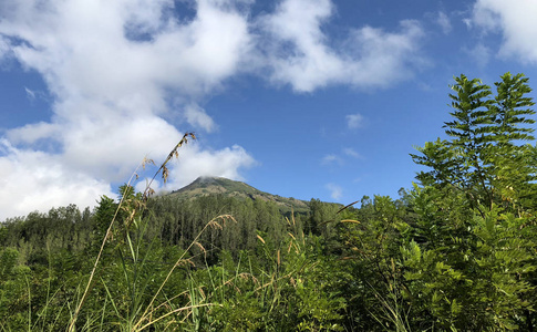 火山, 山覆盖的森林, 天空与云, 在地面上的熔岩痕迹。金塔玛尼山苏黑巴托尔火山。山风景, 巴厘岛。旅游理念