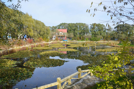 中国秋季五大连池的湖泊之一