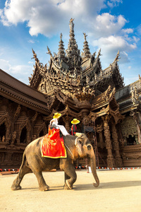 游客骑大象周围的真理圣地在芭堤雅, 在泰国在夏季的一天