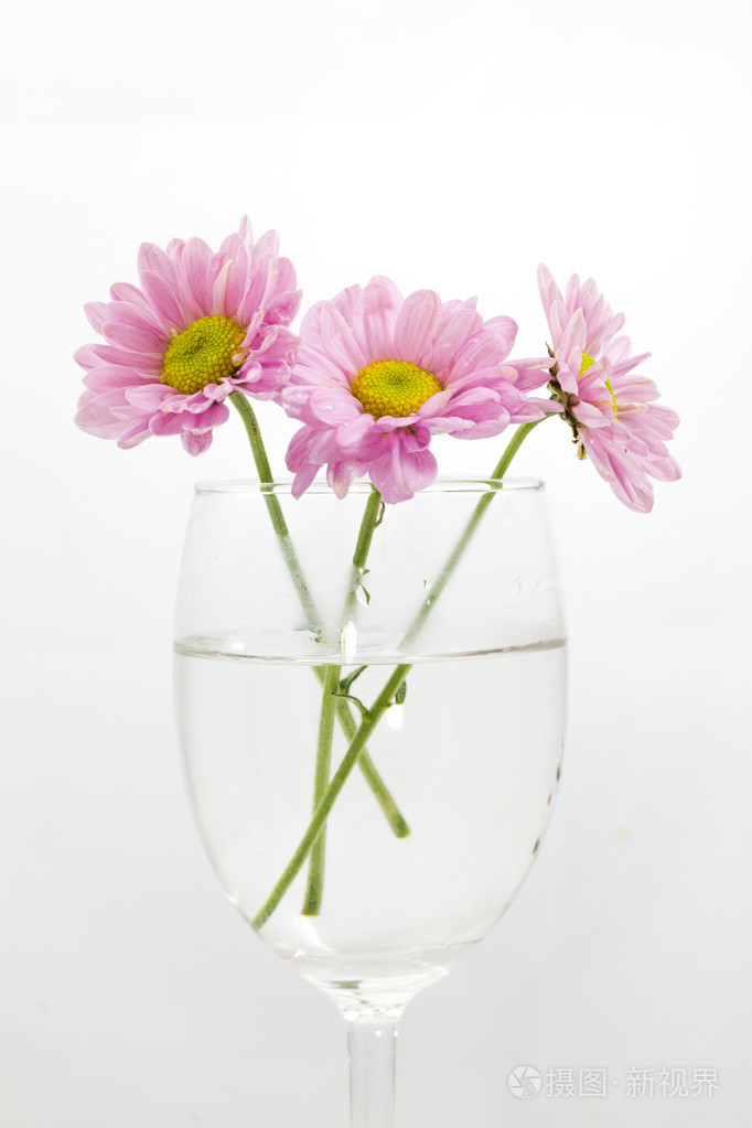 在玻璃中的三个粉红色的花