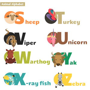 动物字母表 4