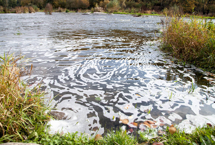 河里的脏水照片